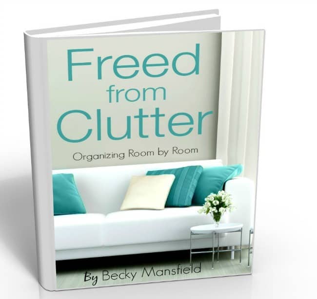 freed from clutter book