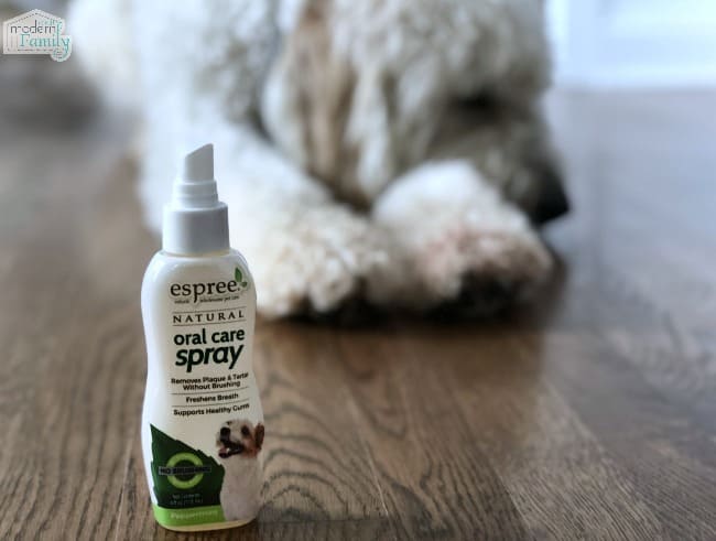 A close up of a bottle of Espree standing on the floor with a dog lying in the background.