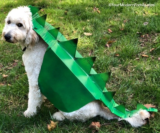 A dog dressed up in a dragon costume sitting in the grass.