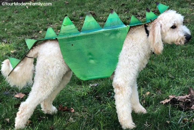A dog dressed up as a dragon standing in the grass.