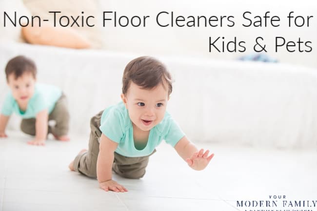 Pet Safe floor cleaner
