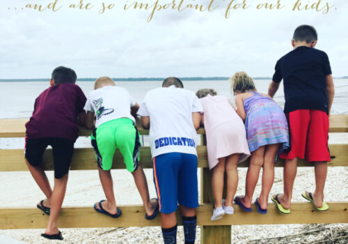 A group of kids on a a wooden fence looking at the beach.
