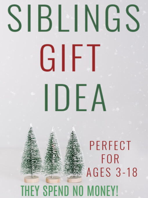 No money gift idea for siblings