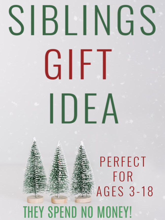No money gift idea for siblings