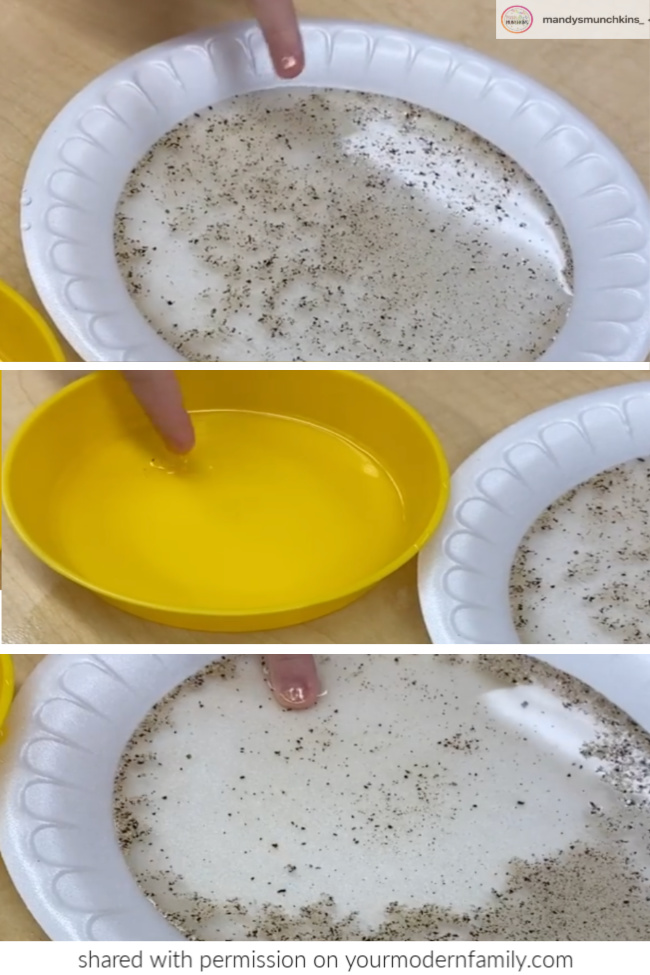 teaching kids about handwashing with pepper & soap experiment 