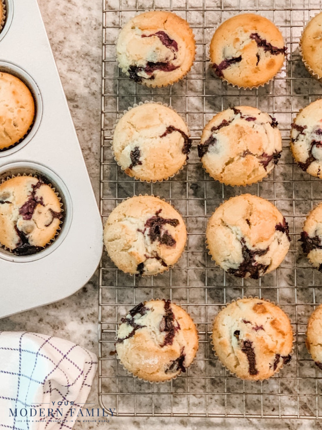 quick & easy blueberry muffins 