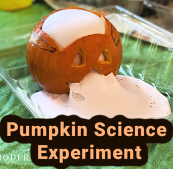 halloween pumpkin science experiments