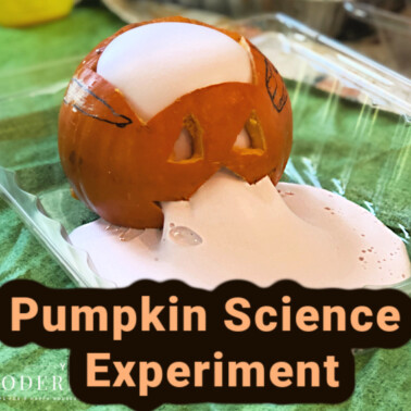 halloween pumpkin science experiments