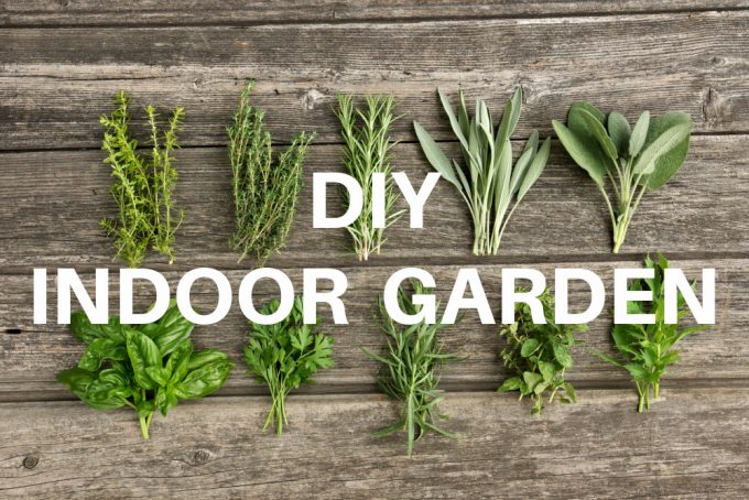 DIY indoor garden