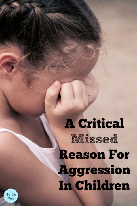 Aggression in Children- the real reason