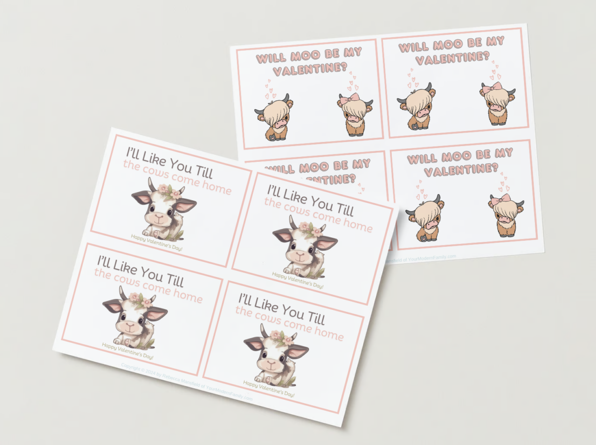 Cow Valentine's Day Card