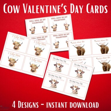 Cow Valentine's Day Card