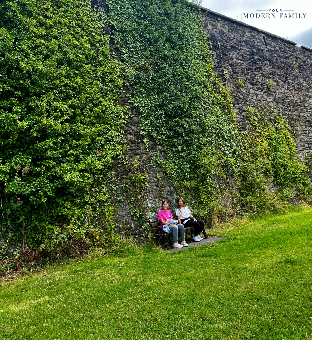 cousins in ireland